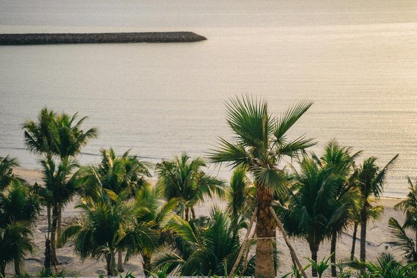 Viaggio nel Cuore del Turismo Sosten